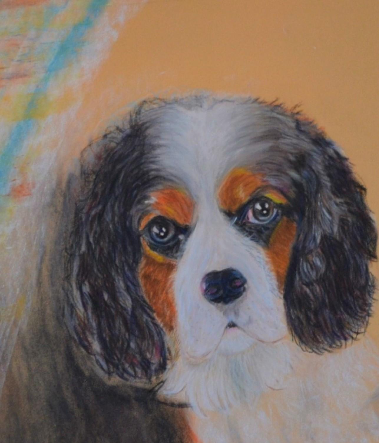 TAZ Commande personnalisée Portrait Pastels secs – Image 2