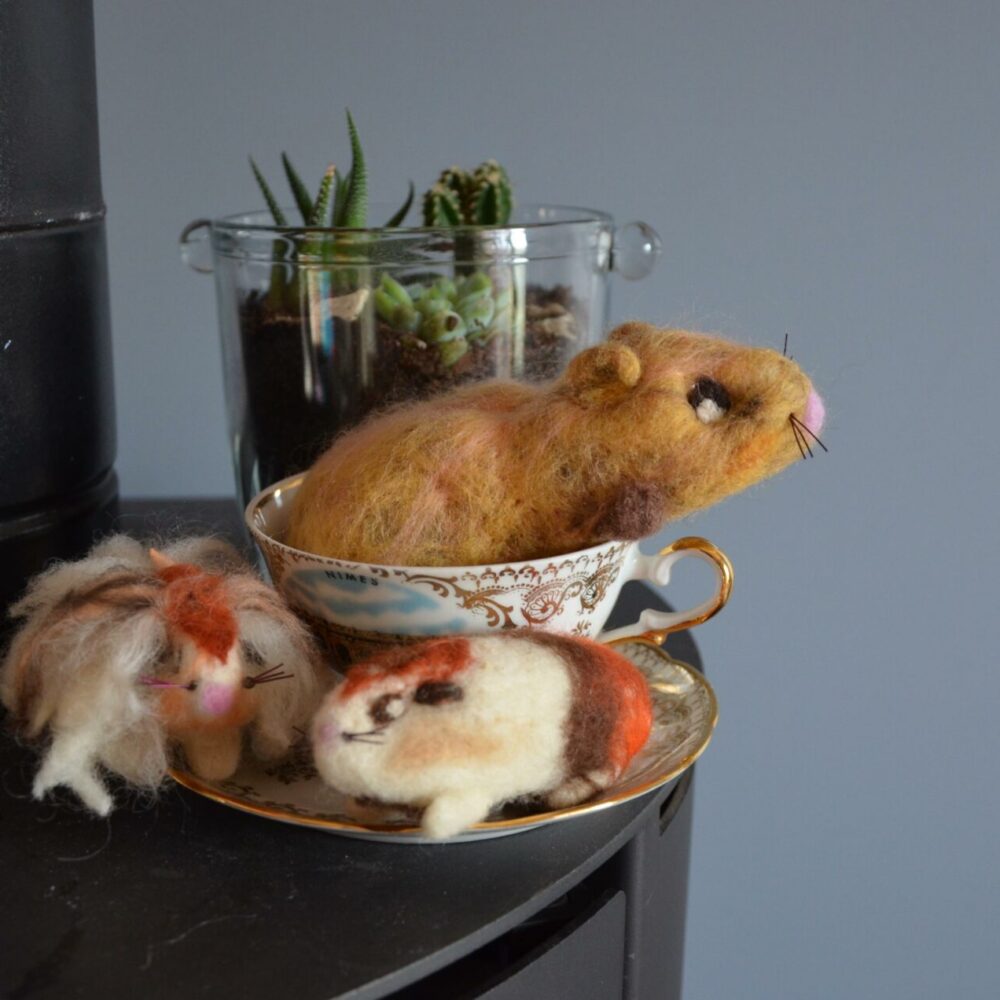 Duo de cochons d’Inde en laine feutrée aux couleurs uniques, cadeau Noces de laine