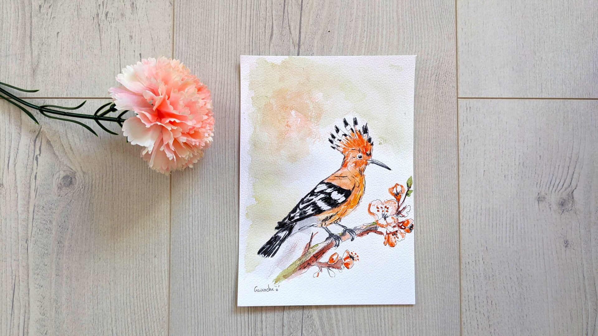 Aquarelle huppe fasciée – Image 4