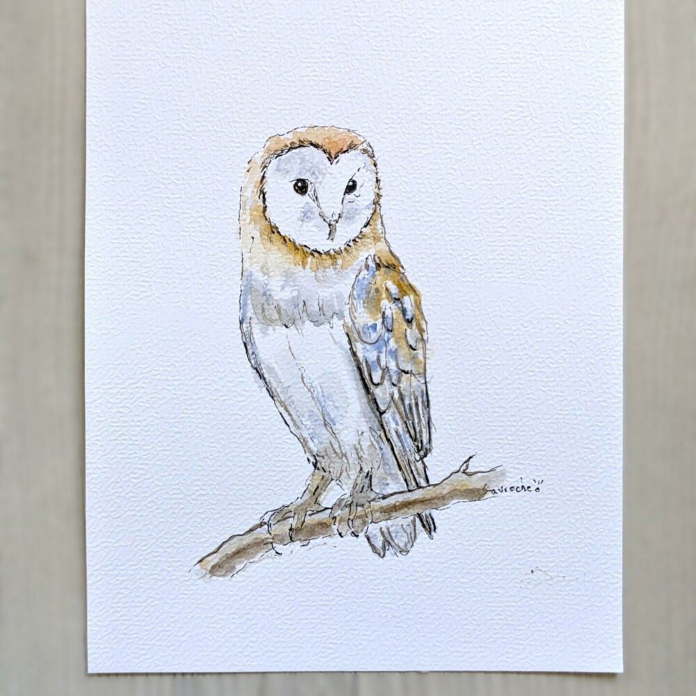 Aquarelle originale – Majestueuse chouette effraie des clochers (Offre 2FOR3) Commande personnalisée