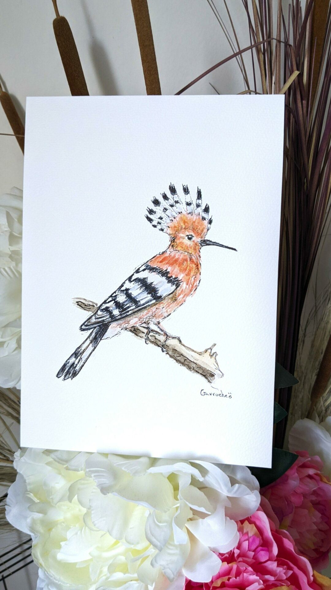 Aquarelle originale – Belle Huppe fasciée (Offre 2FOR3) – Image 4