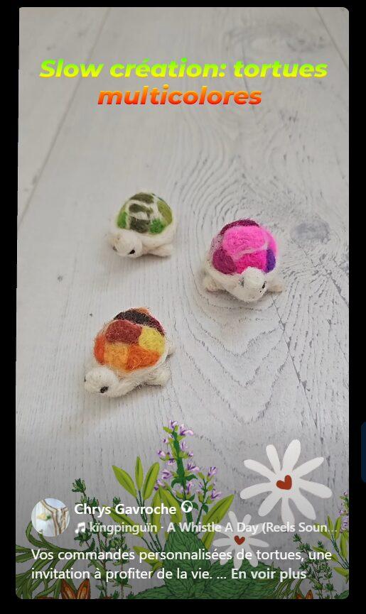 Adopte une tortue rose Christine M