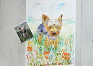 Portrait animalier aquarelle personnalisé de Voyou dans un champ de coquelicots d'après photo fait main à Brive Boutique Gavroche Label Origine Corrèze